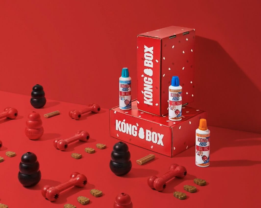 Kong Box