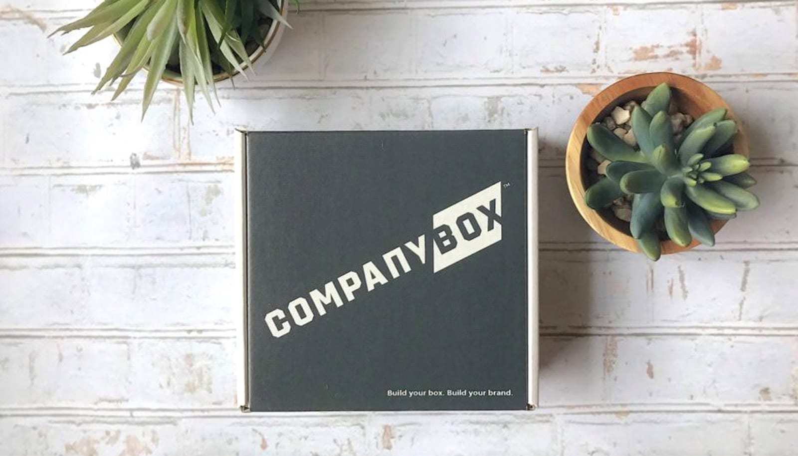 CompanyBox package surrounded by succulents